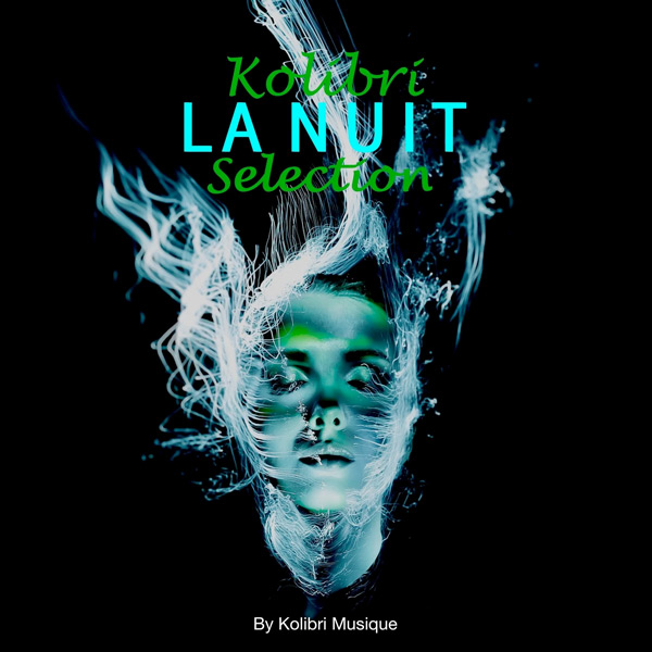 Various Artists – La Nuit Selection (Kolibri Musique)